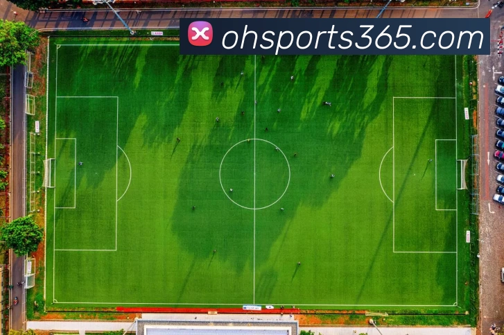 欧皇体育官网平台生态图